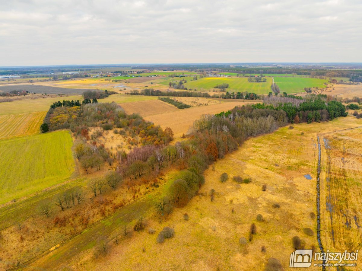Nowogard - działka rolna 7159m2 (6)