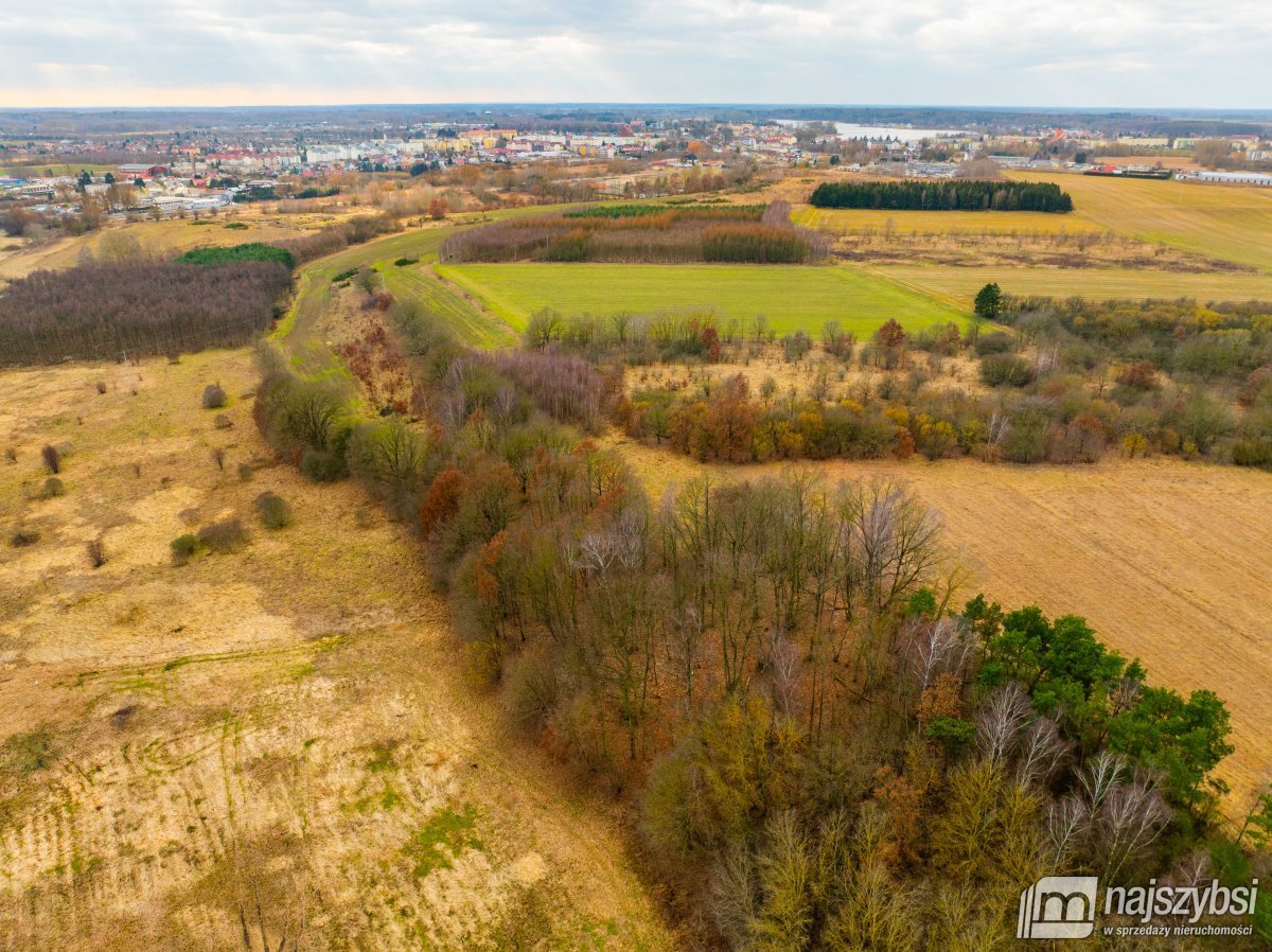 Nowogard - działka rolna 7159m2 (7)