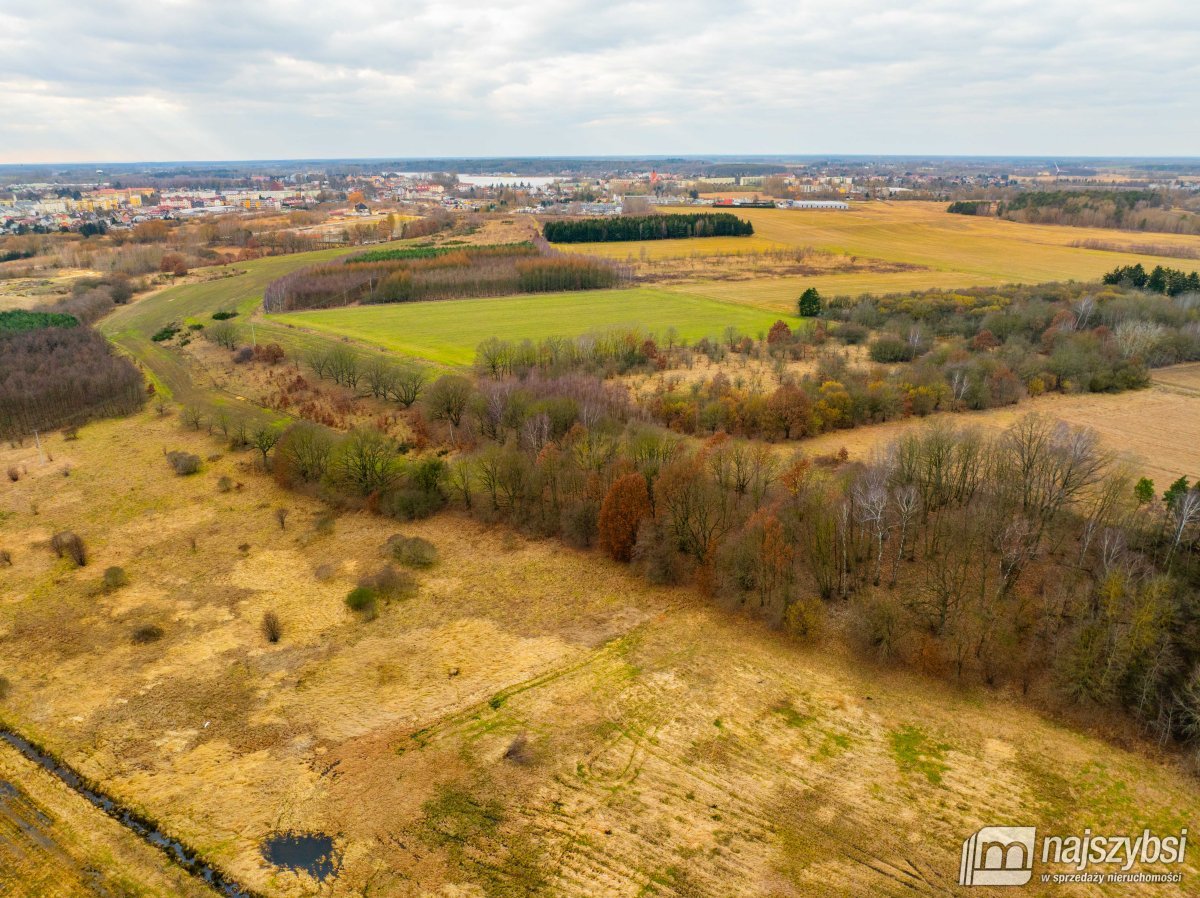 Nowogard - działka rolna 7159m2 (9)