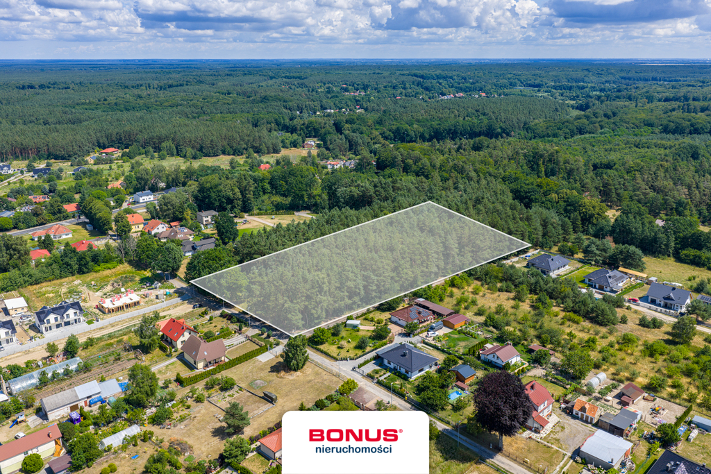 Działka leśna w Szczecinie (1)