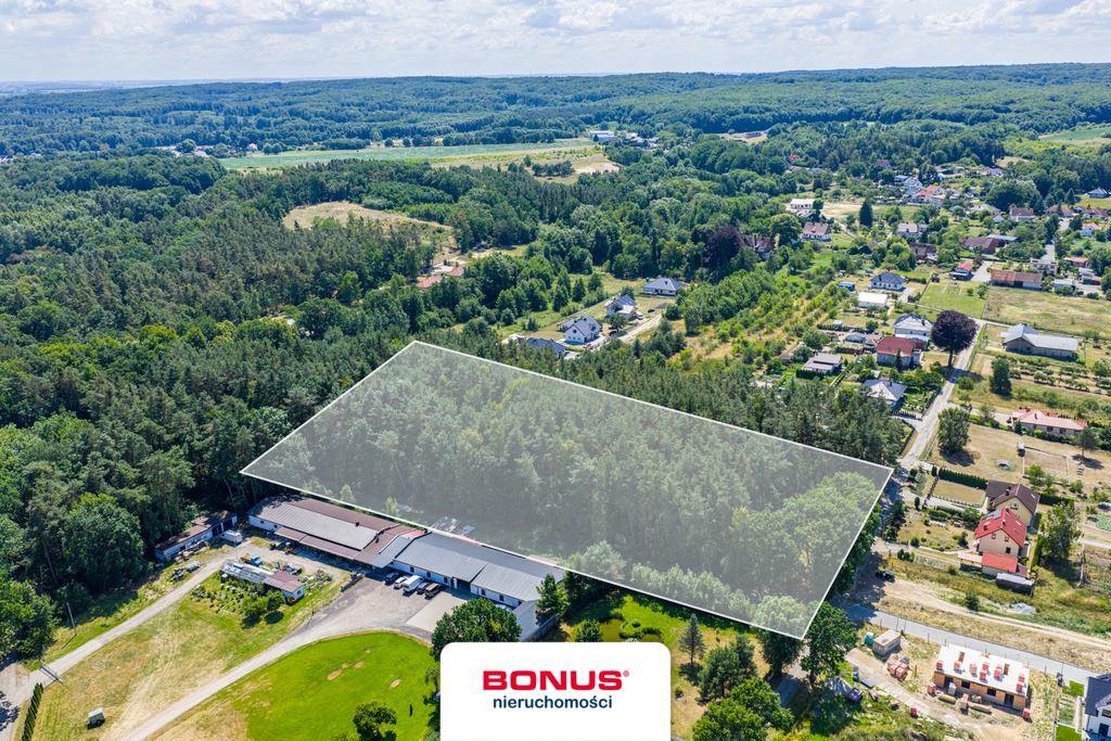 Działka leśna w Szczecinie (6)