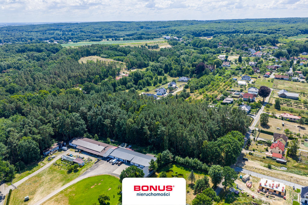 Działka leśna w Szczecinie (5)