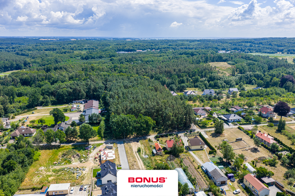 Działka leśna w Szczecinie (4)