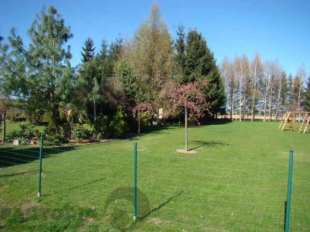 Obiekt usługowo - magazynowo - biurowy (22)