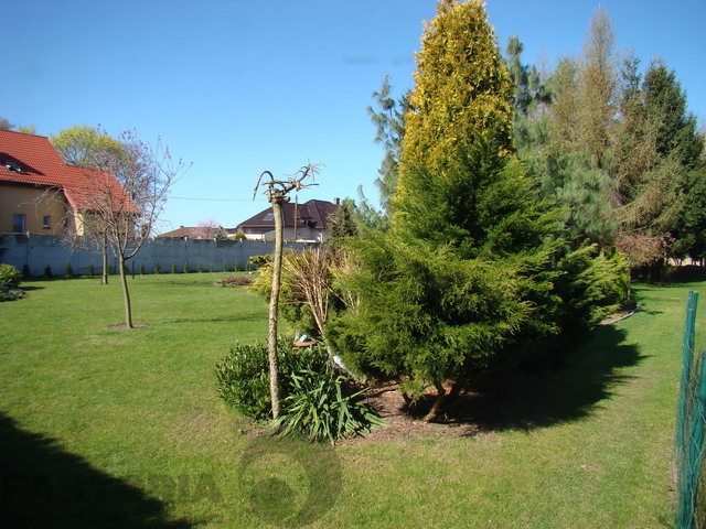 Obiekt usługowo - magazynowo - biurowy (23)