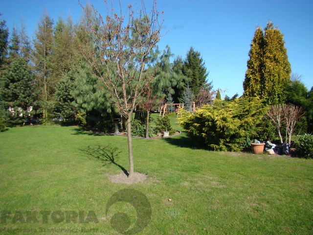 Obiekt usługowo - magazynowo - biurowy (26)