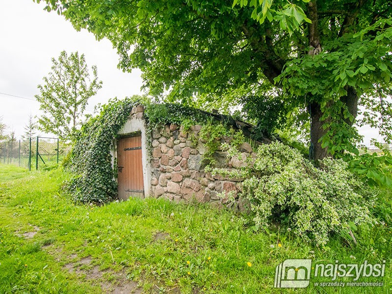 Rymań - siedlisko , gospodarstwo rolne / ok 6ha  (19)