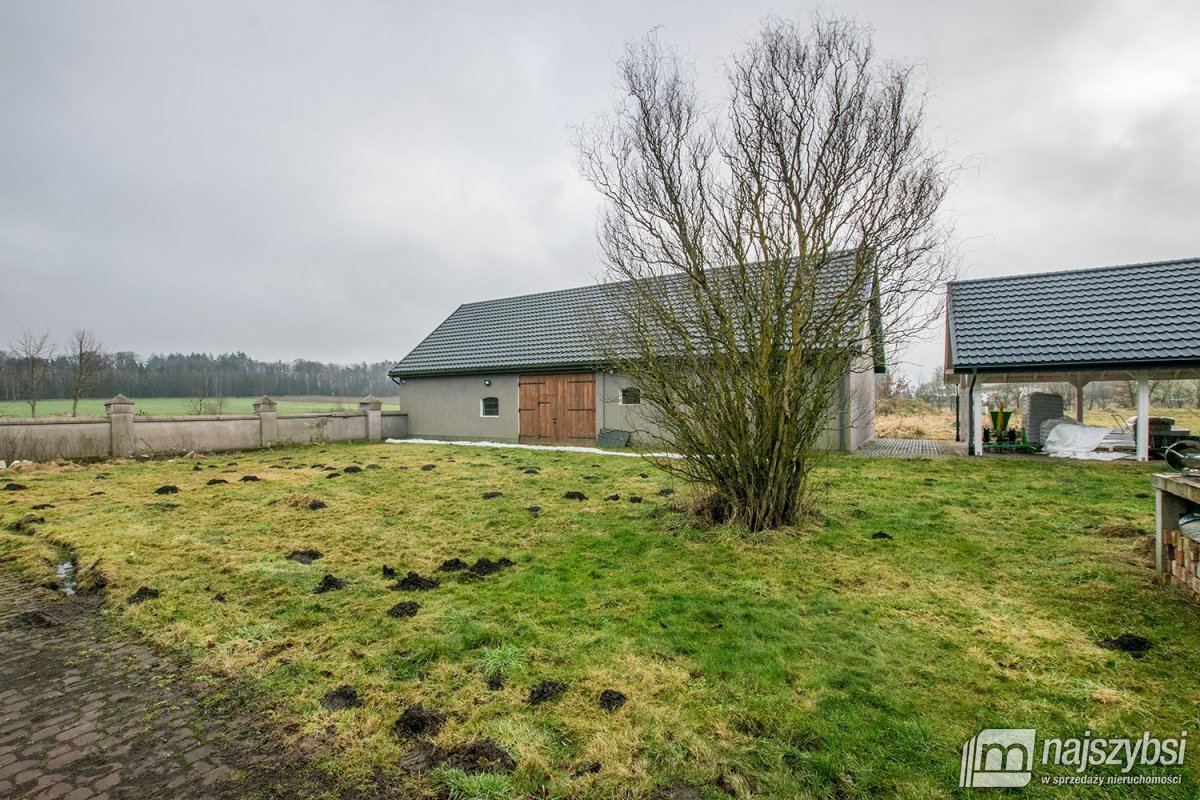 Rymań - siedlisko , gospodarstwo rolne / ok 6ha  (25)