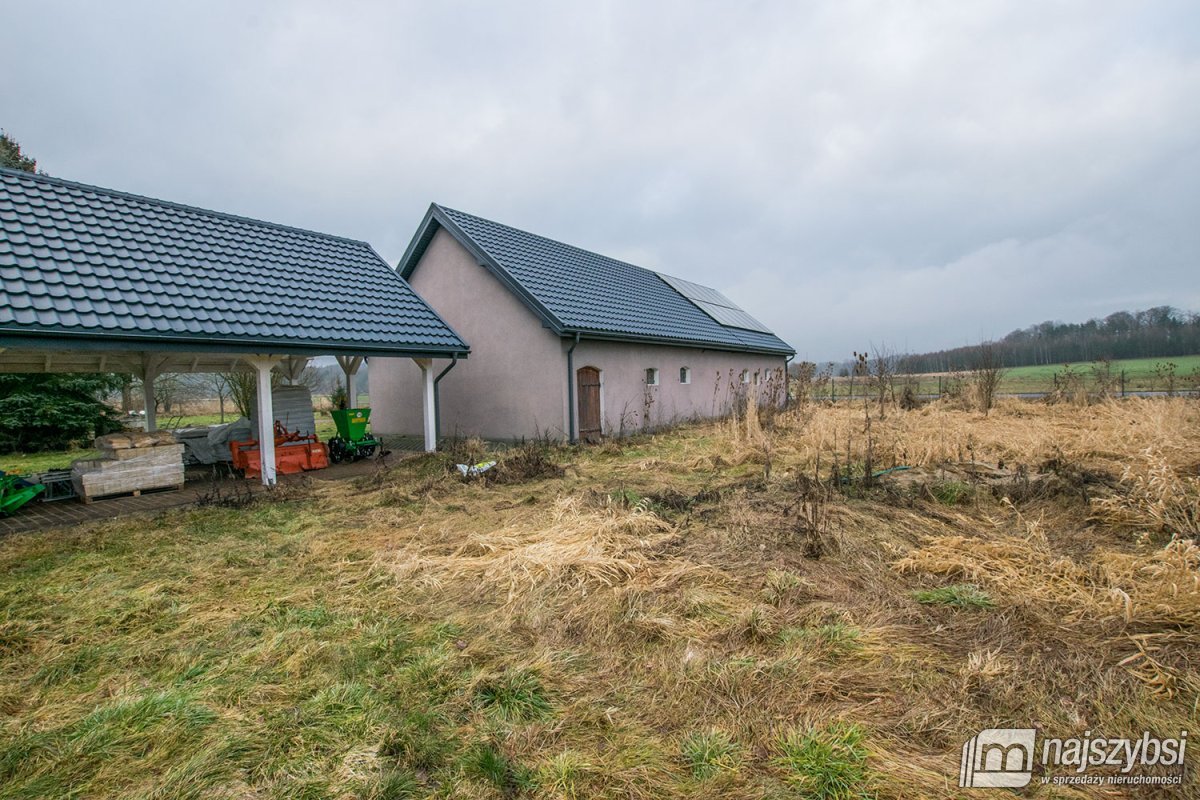 Rymań - siedlisko , gospodarstwo rolne / ok 6ha  (26)