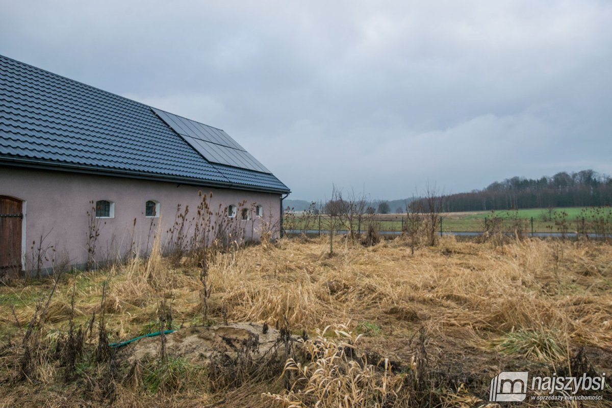 Rymań - siedlisko , gospodarstwo rolne / ok 6ha  (27)