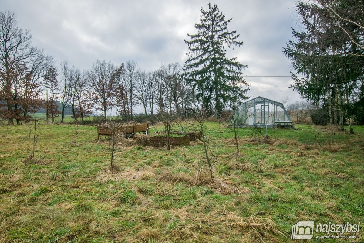 Rymań - siedlisko , gospodarstwo rolne / ok 6ha  (28)