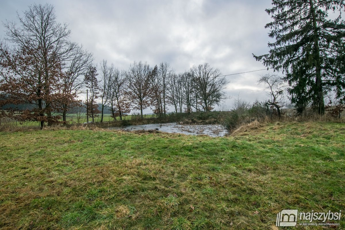 Rymań - siedlisko , gospodarstwo rolne / ok 6ha  (29)