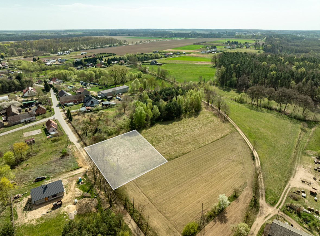 Działki budowlane przy ścianie lasu (1)