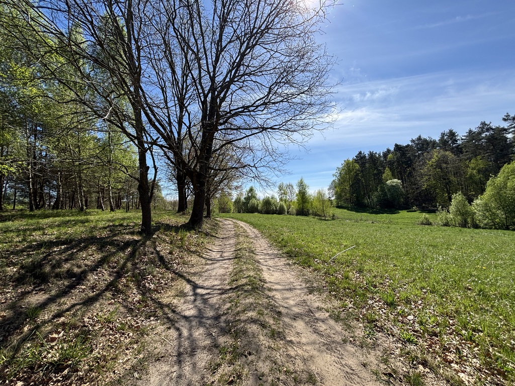 Działki budowlane przy ścianie lasu (5)