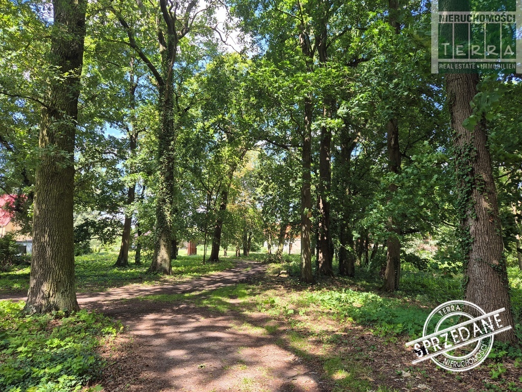 ZABYTKOWY DWÓR - Nieruchomość SPRZEDANA (23)