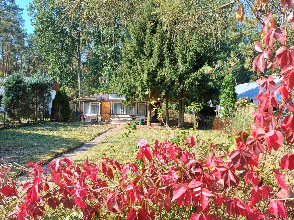 Działka rekreacyjna pod lasem (2)