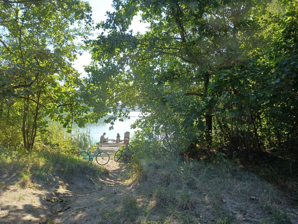 Działka rekreacyjna pod lasem (8)