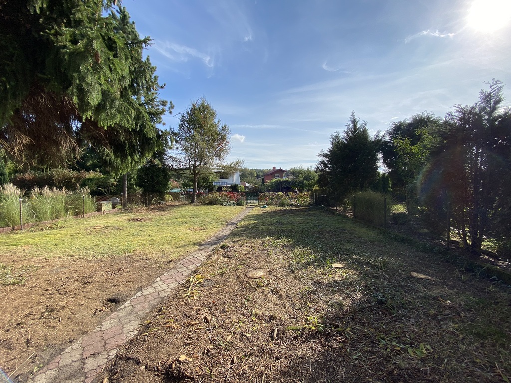 Działka rekreacyjna pod lasem (10)