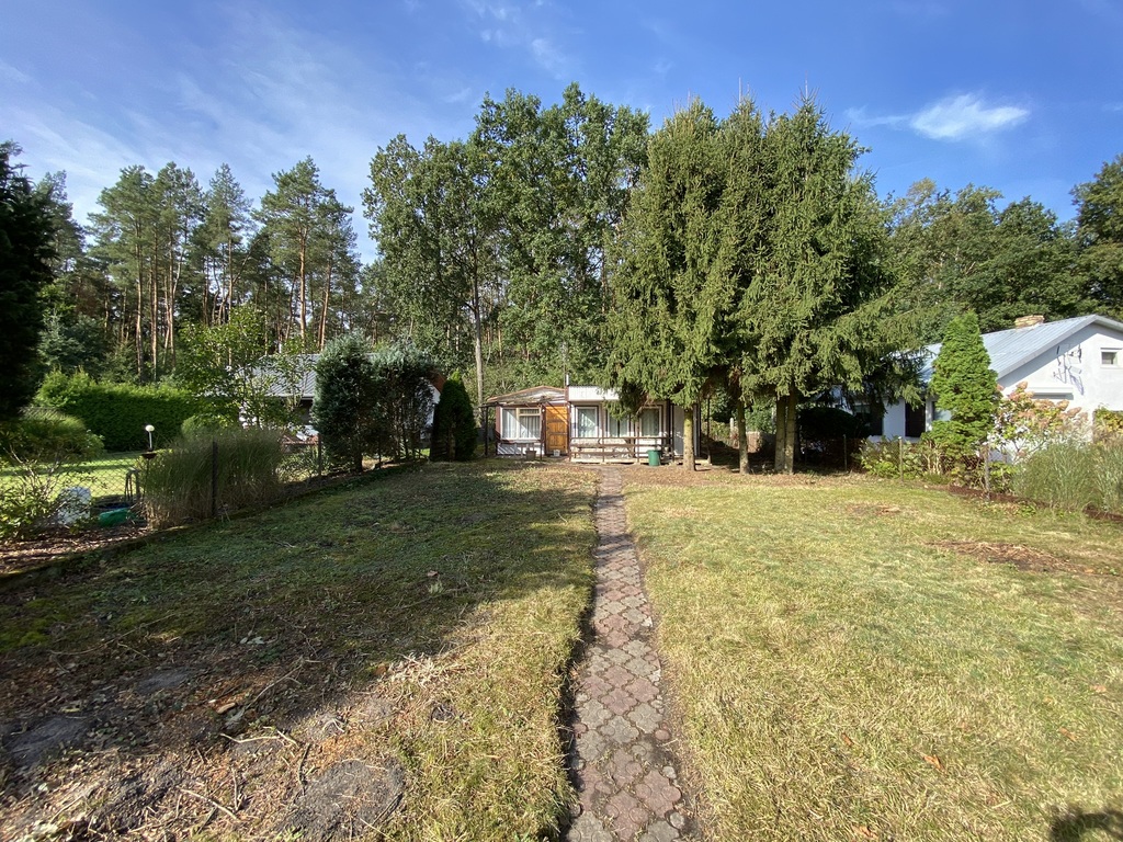 Działka rekreacyjna pod lasem (1)