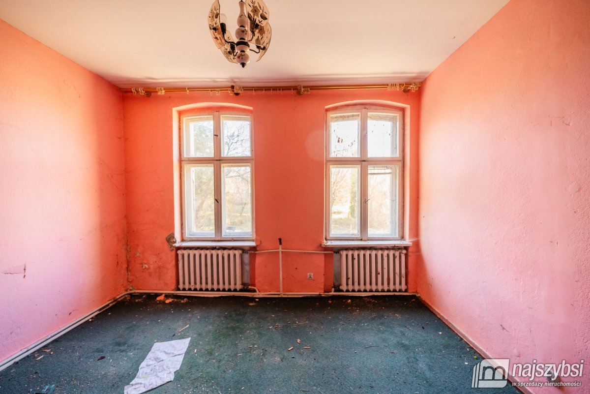 Łabędzie- pastorówka z wielkimi możliwościami  (10)