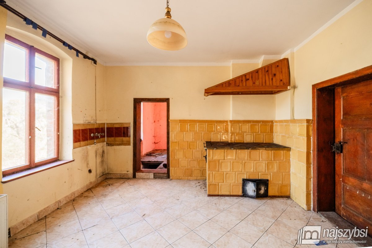 Łabędzie- pastorówka z wielkimi możliwościami  (11)