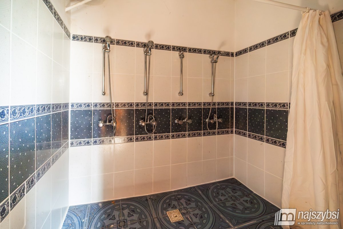 Łabędzie- pastorówka z wielkimi możliwościami  (12)