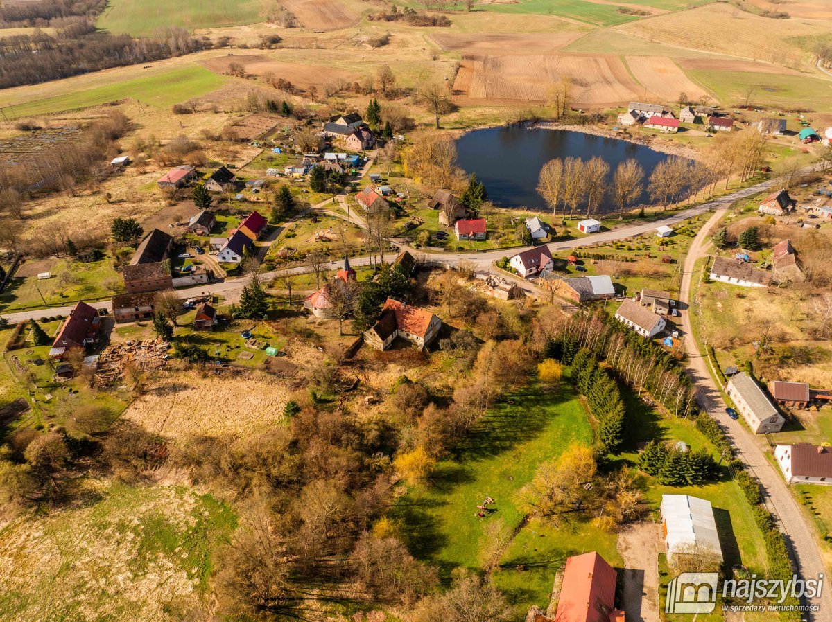 Łabędzie- pastorówka z wielkimi możliwościami  (13)