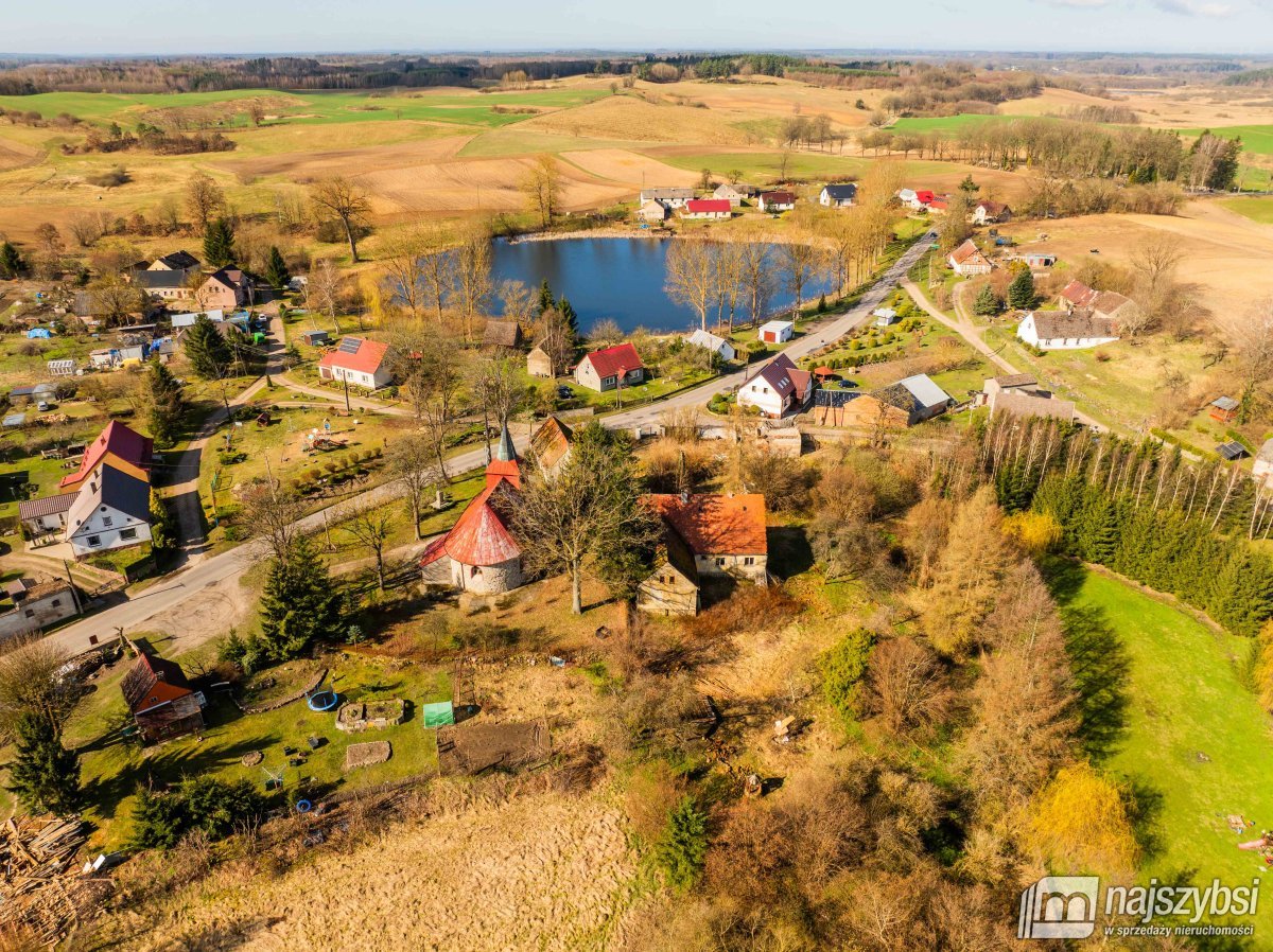 Łabędzie- pastorówka z wielkimi możliwościami  (14)