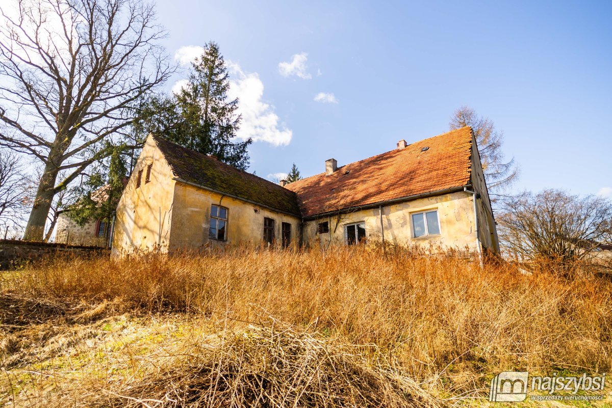 Łabędzie- pastorówka z wielkimi możliwościami  (16)