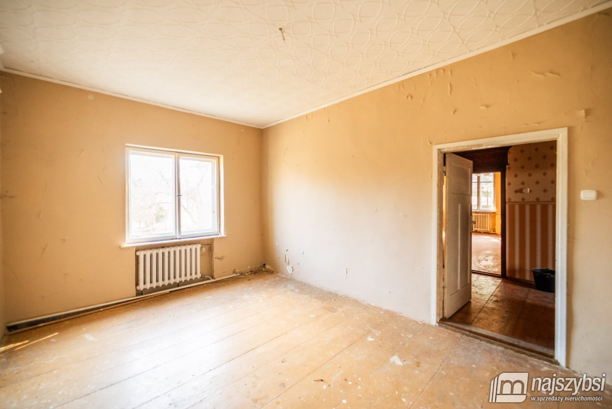 Łabędzie- pastorówka z wielkimi możliwościami  (18)