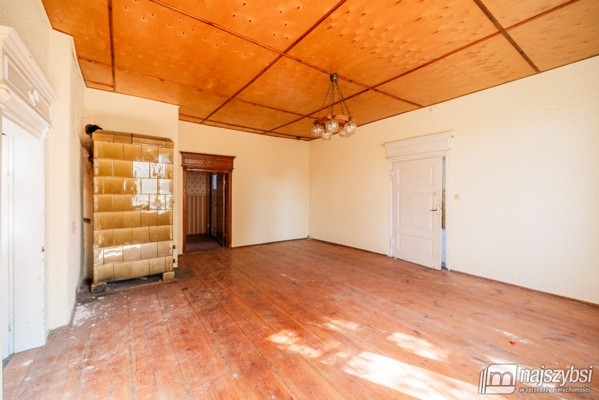 Łabędzie- pastorówka z wielkimi możliwościami  (19)