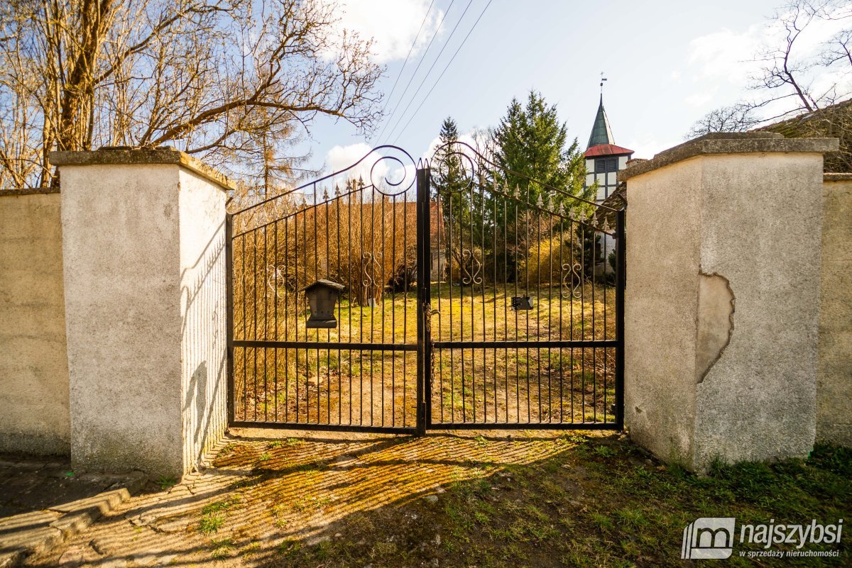 Łabędzie- pastorówka z wielkimi możliwościami  (2)