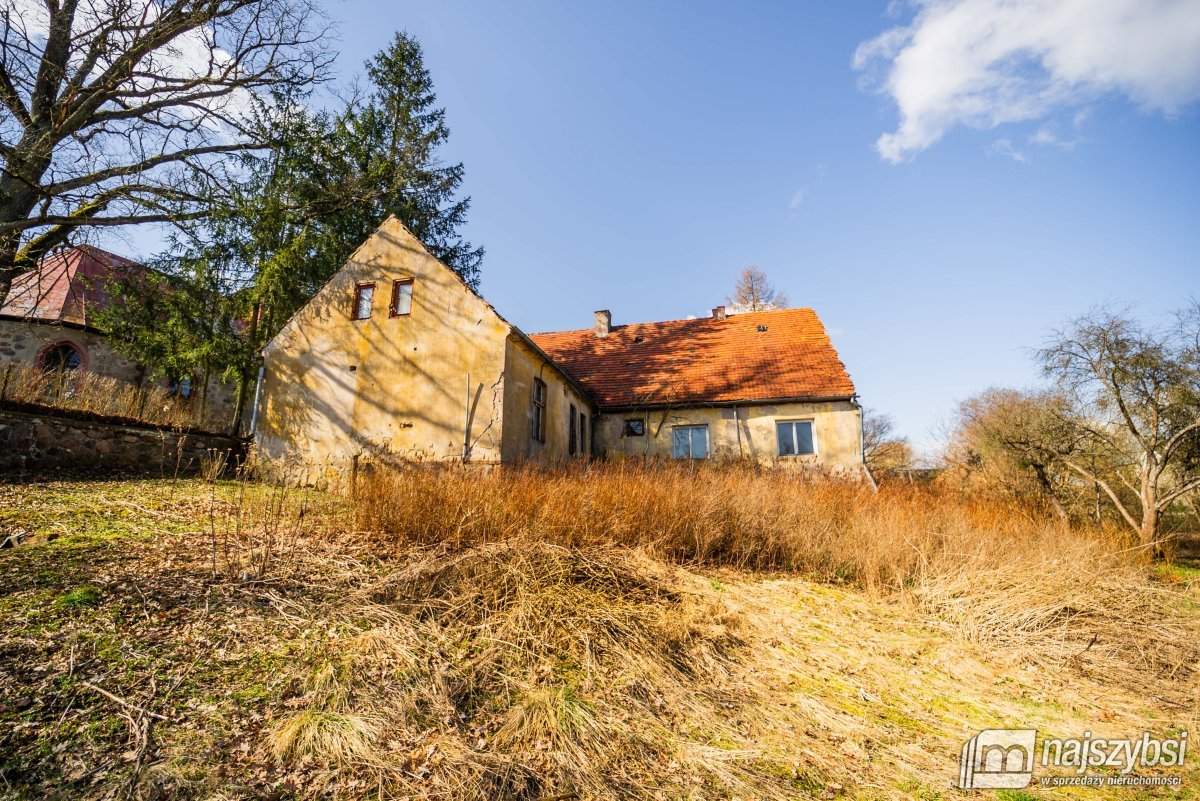 Łabędzie- pastorówka z wielkimi możliwościami  (21)