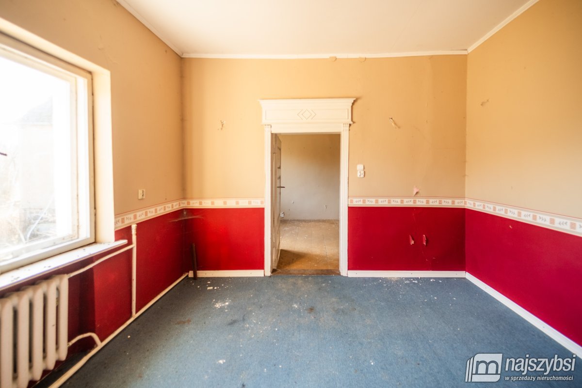 Łabędzie- pastorówka z wielkimi możliwościami  (22)