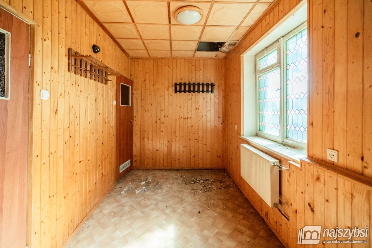 Łabędzie- pastorówka z wielkimi możliwościami  (23)