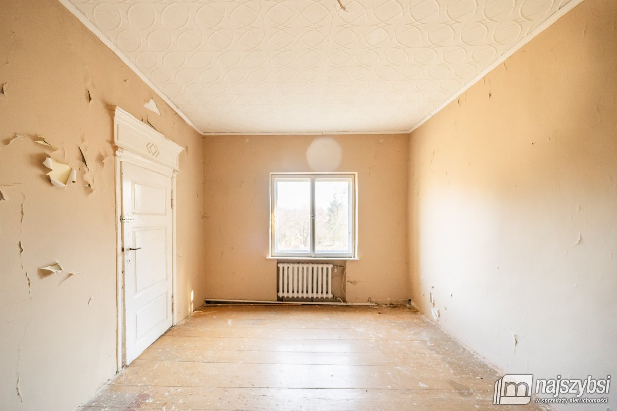 Łabędzie- pastorówka z wielkimi możliwościami  (24)