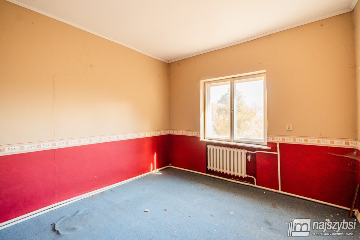 Łabędzie- pastorówka z wielkimi możliwościami  (25)