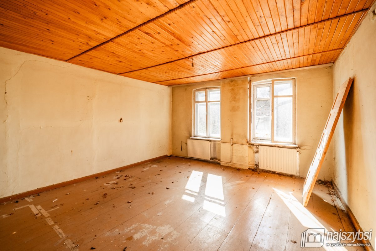 Łabędzie- pastorówka z wielkimi możliwościami  (26)