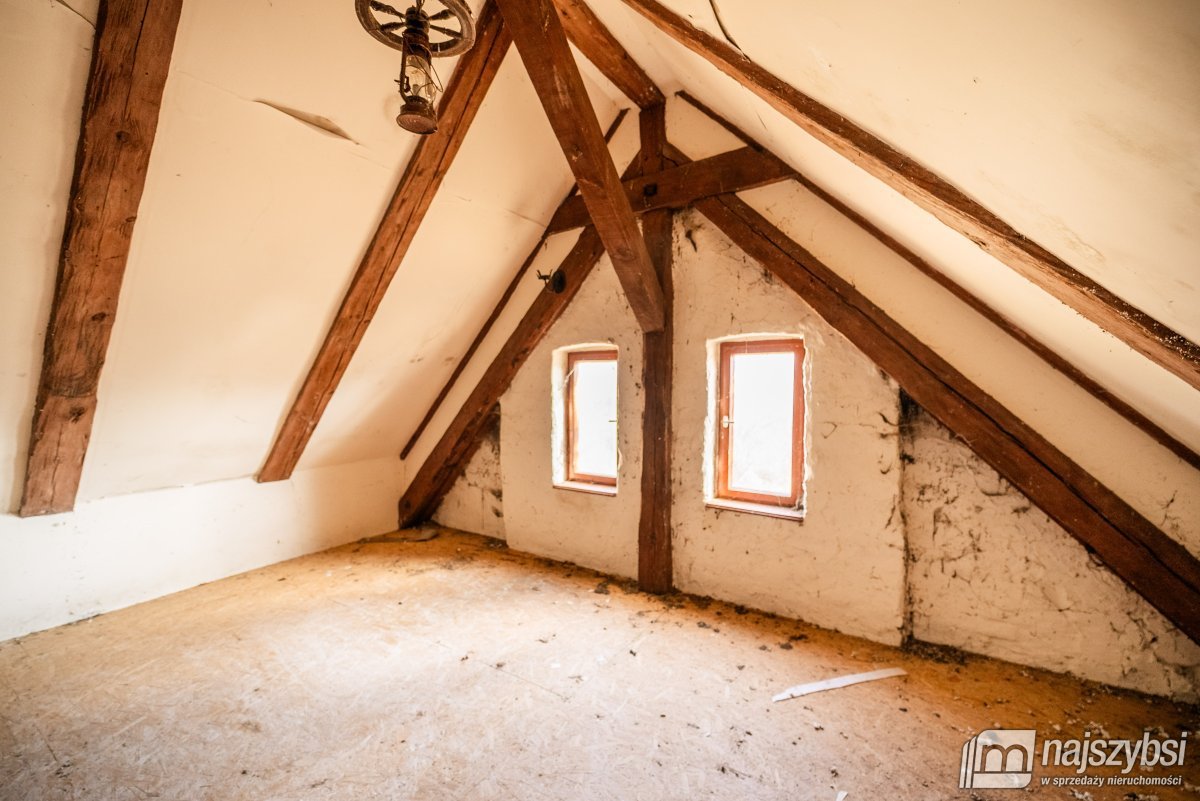 Łabędzie- pastorówka z wielkimi możliwościami  (27)