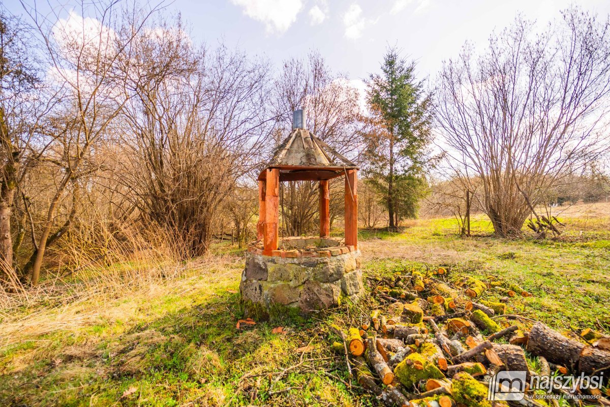 Łabędzie- pastorówka z wielkimi możliwościami  (3)