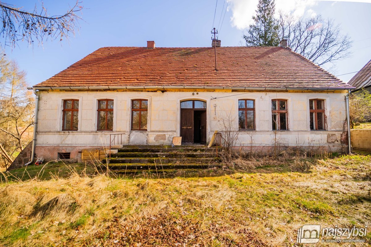 Łabędzie- pastorówka z wielkimi możliwościami  (4)