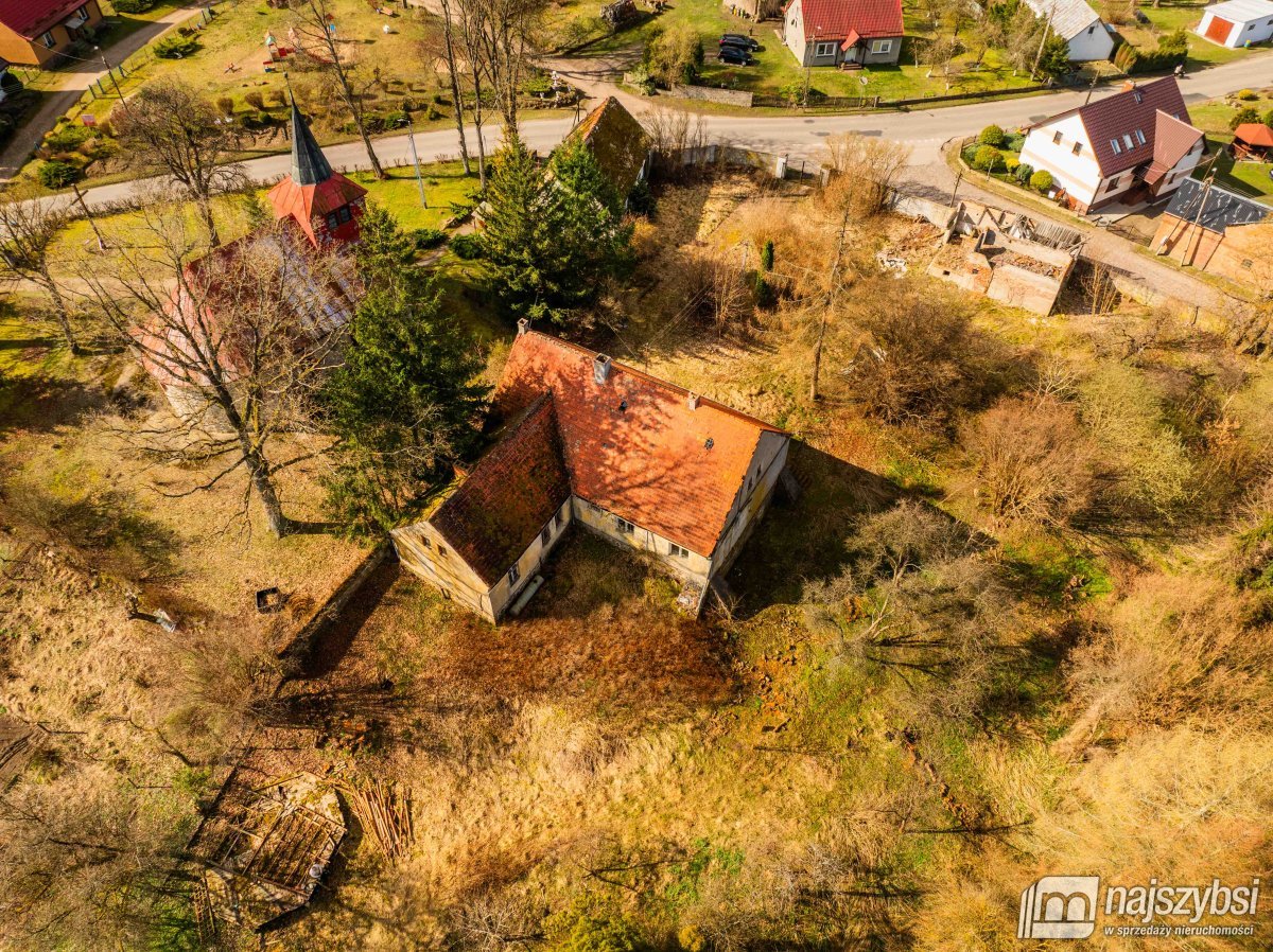 Łabędzie- pastorówka z wielkimi możliwościami  (5)