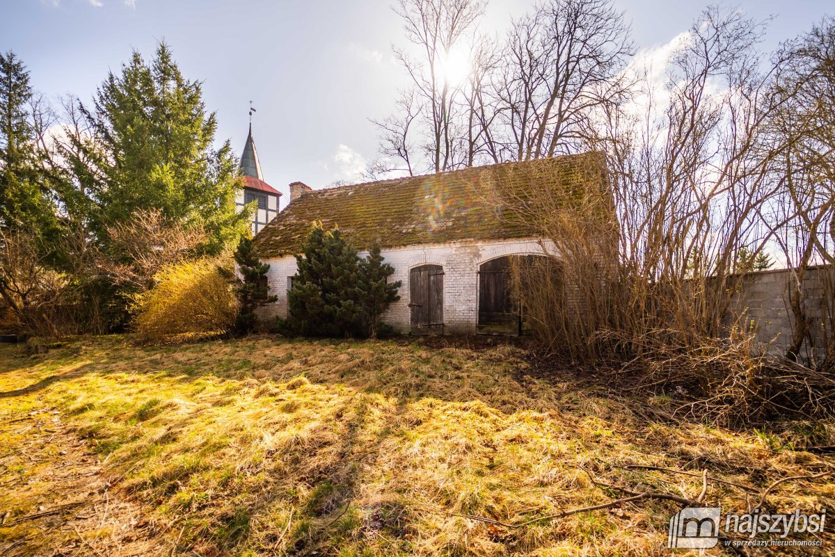 Łabędzie- pastorówka z wielkimi możliwościami  (6)