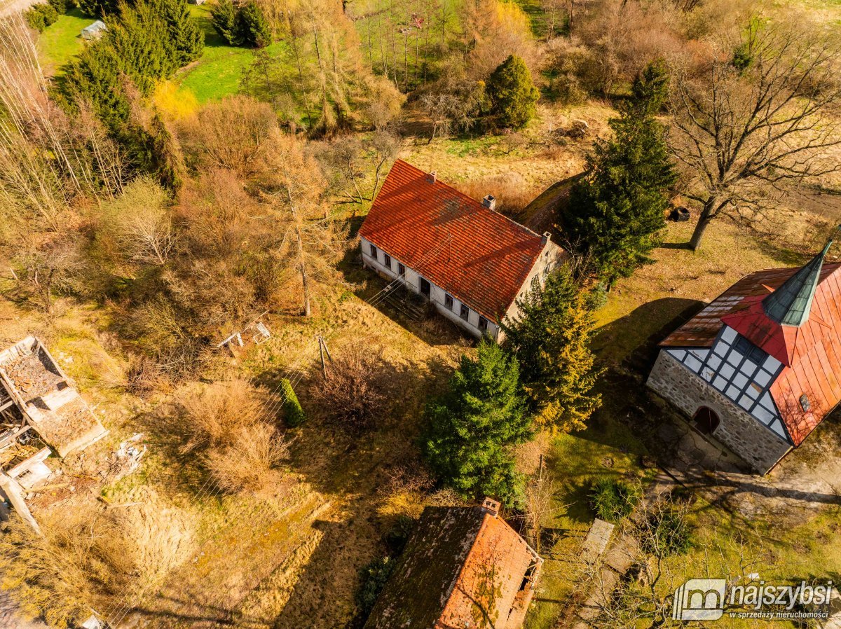 Łabędzie- pastorówka z wielkimi możliwościami  (7)