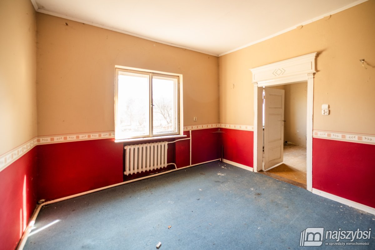 Łabędzie- pastorówka z wielkimi możliwościami  (8)