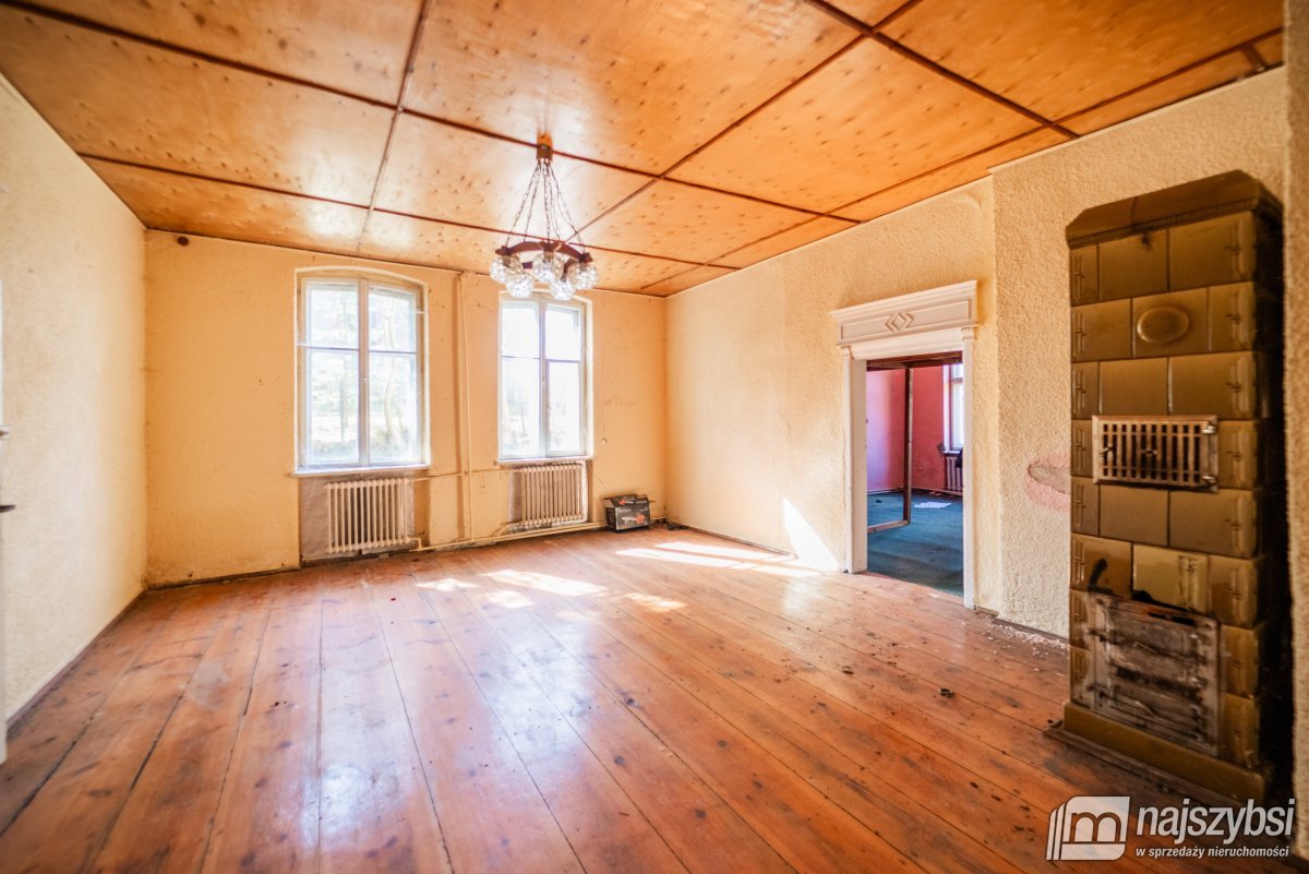 Łabędzie- pastorówka z wielkimi możliwościami  (9)