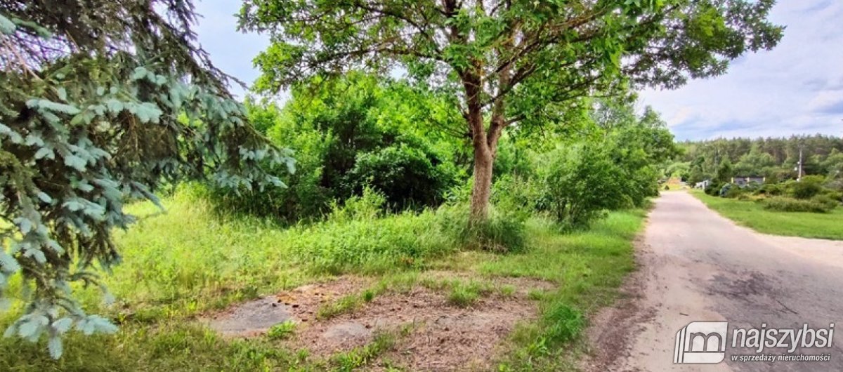 Uniemino- duża działka z budynkami gospodarczymi (10)