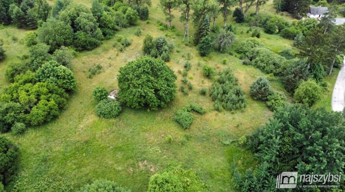 Uniemino- duża działka z budynkami gospodarczymi (8)