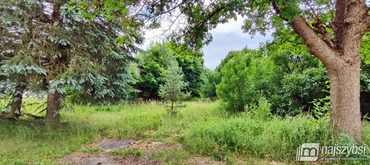 Uniemino- duża działka z budynkami gospodarczymi (9)