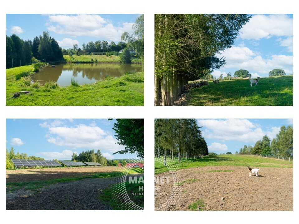 Dochodowe nowoczesne gospodarstwo agroturystyczne (17)